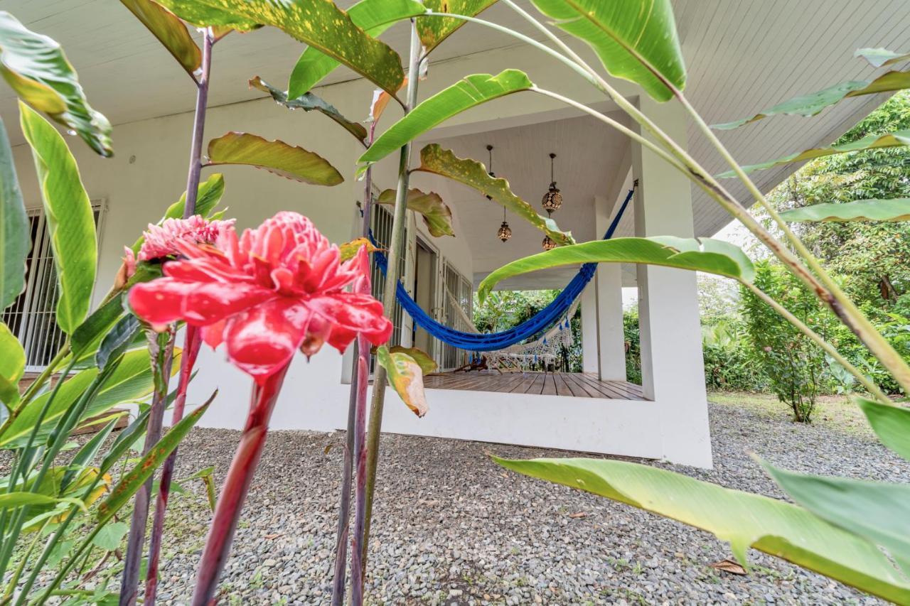 Pineapple House Manzanillo Villa Ngoại thất bức ảnh