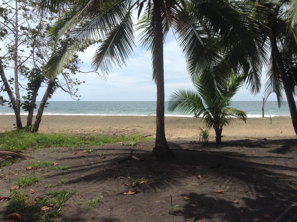 Pineapple House Manzanillo Villa Ngoại thất bức ảnh