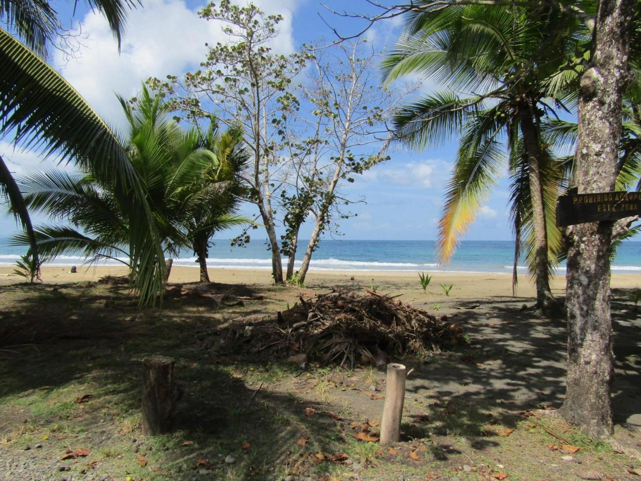 Pineapple House Manzanillo Villa Ngoại thất bức ảnh