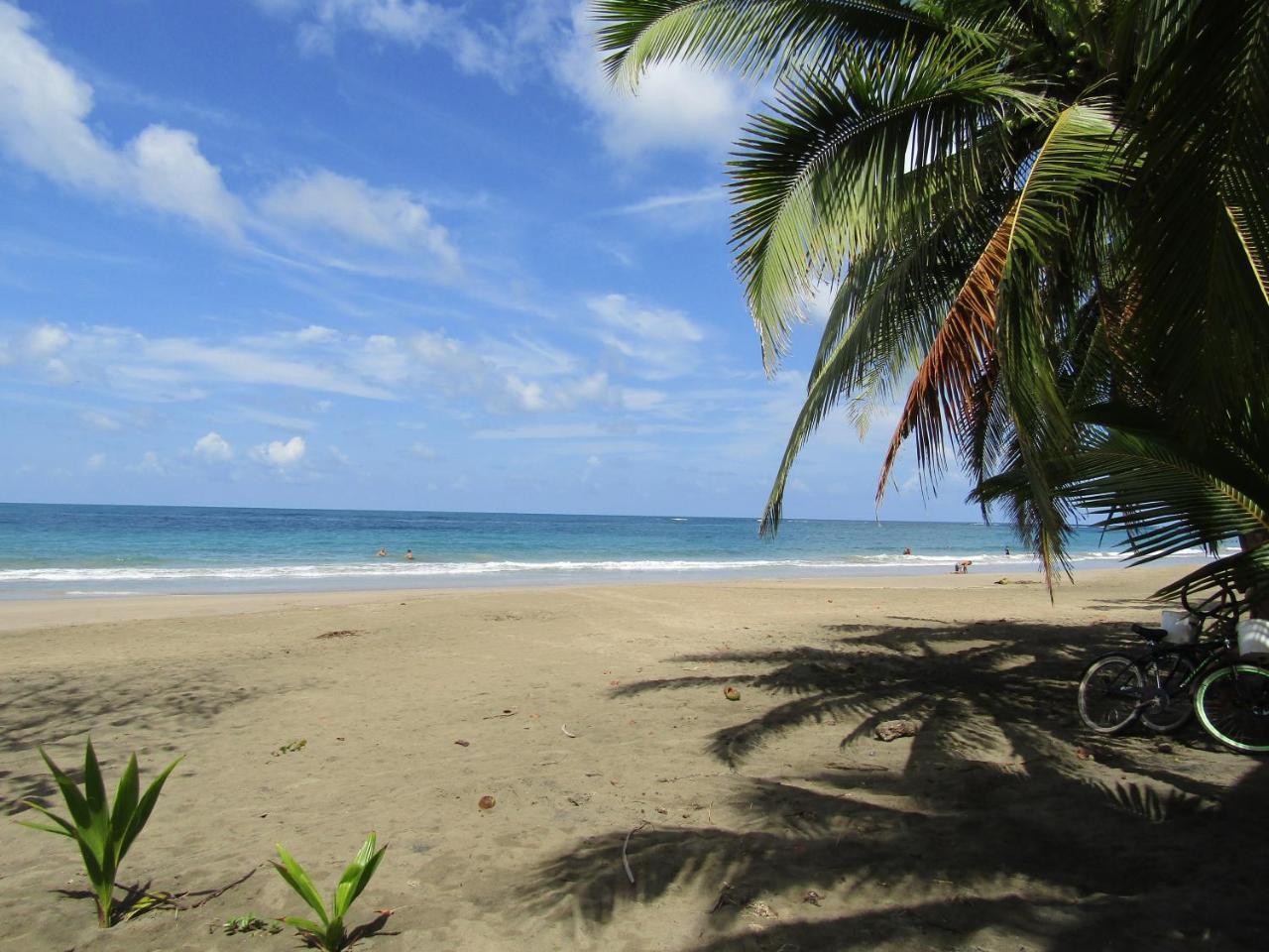 Pineapple House Manzanillo Villa Ngoại thất bức ảnh